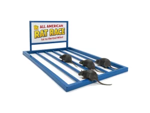 Interactive rat race carnival game with multiple racing tracks