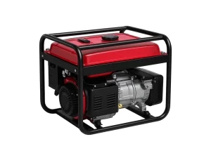 Portable generator rental for inflatables and events