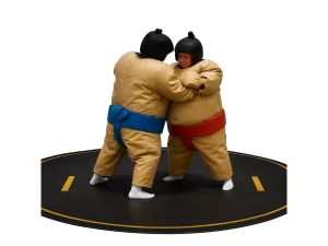 Sumo wrestling game with padded suits and foam mat ring